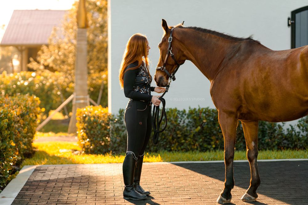 Standing bay horse with handler at sunset near stables.