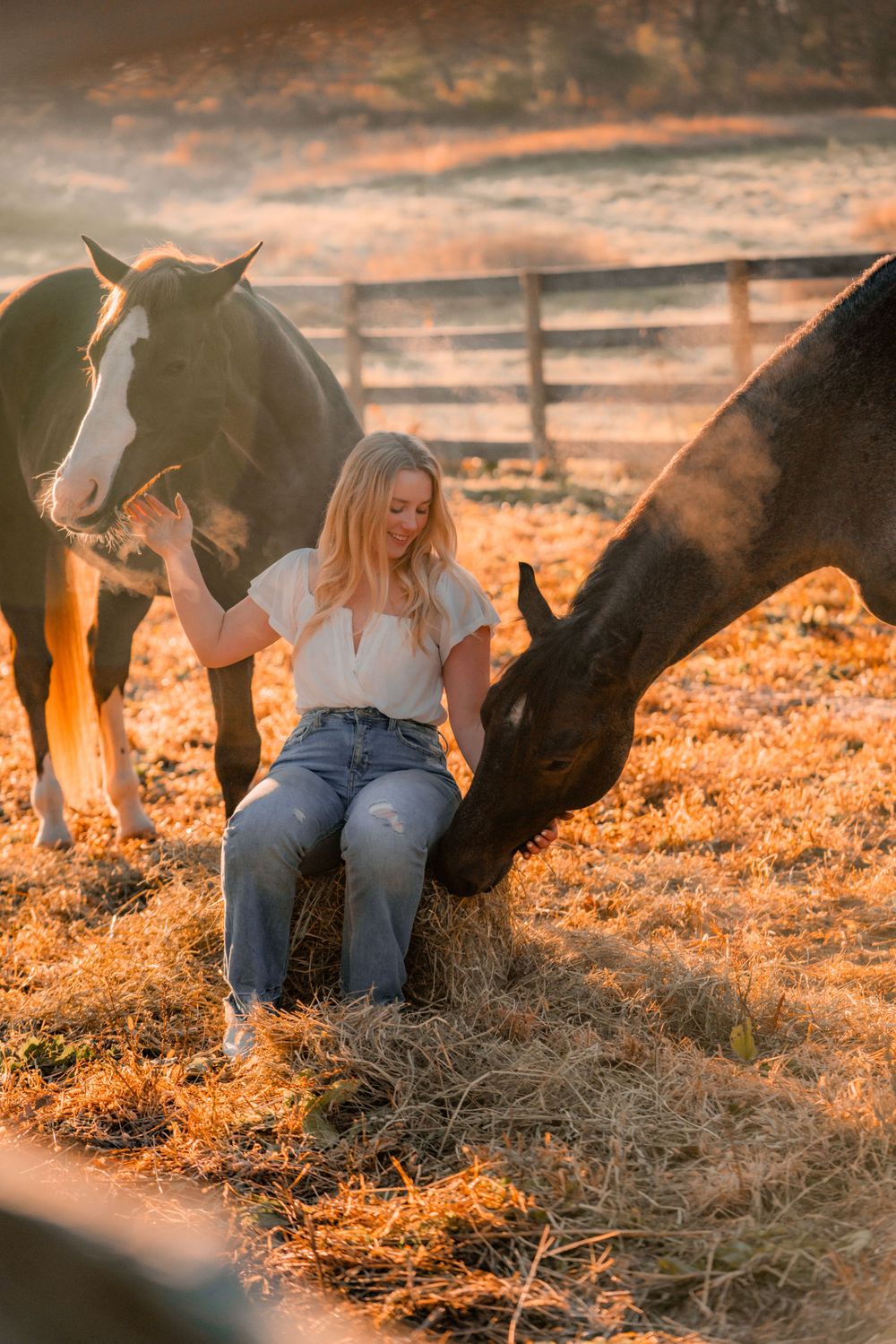 Person in white shirt and jeans bonding with two horses in a sunlit pasture.