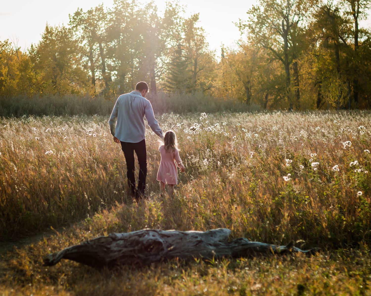 Beautiful golden hour fall family photography in Calgary Alberta by Love & Sunshine Photography.