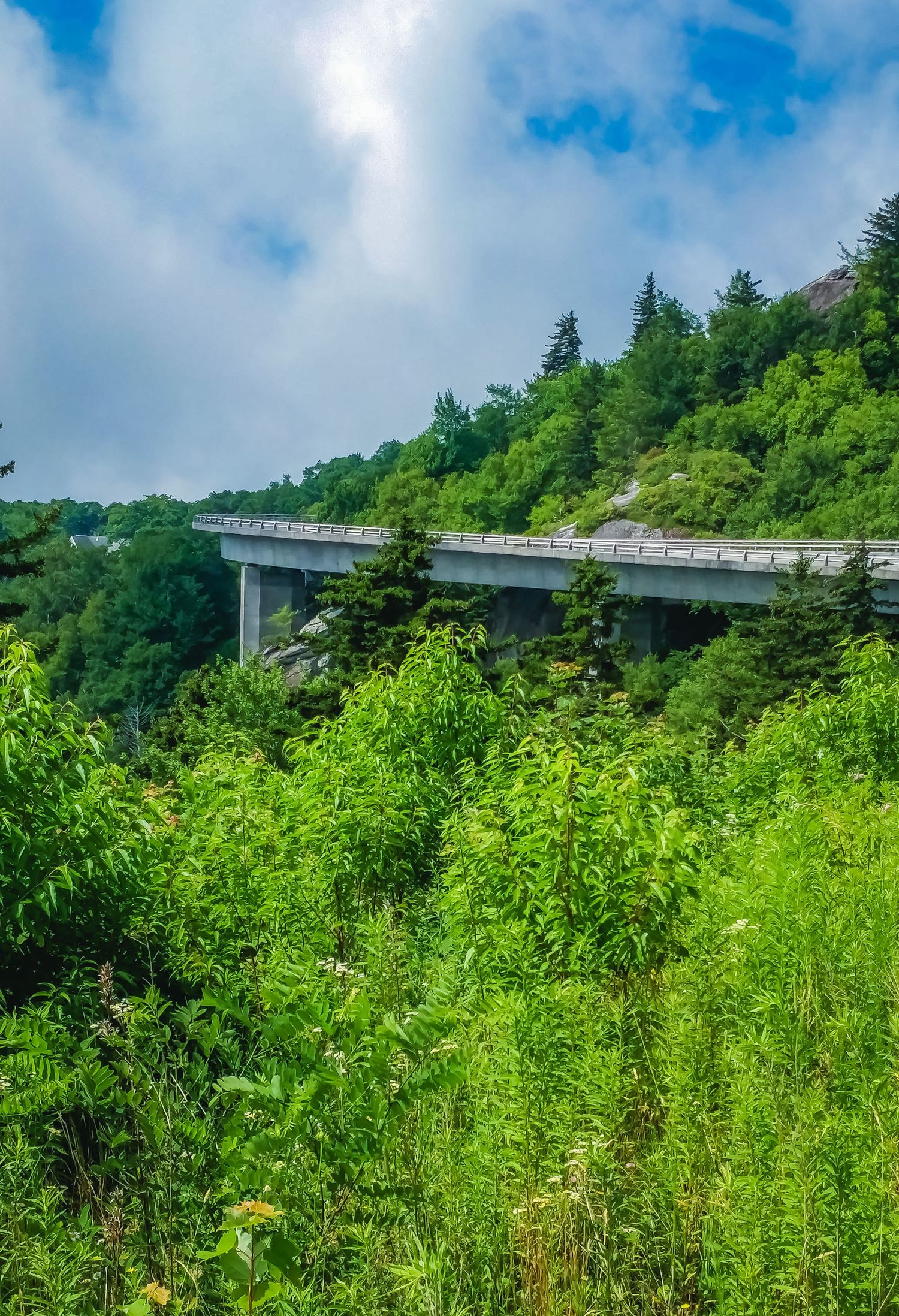 Curved highway viaduct spans through lush green mountain forest under blue skies.
