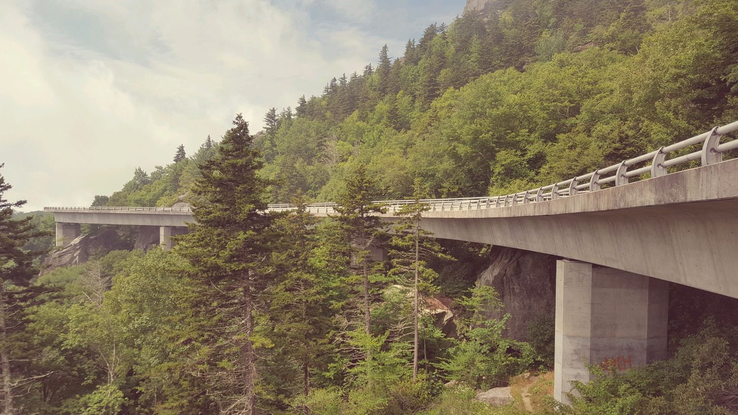 Concrete bridge winding through misty mountain forest covered in evergreen trees.