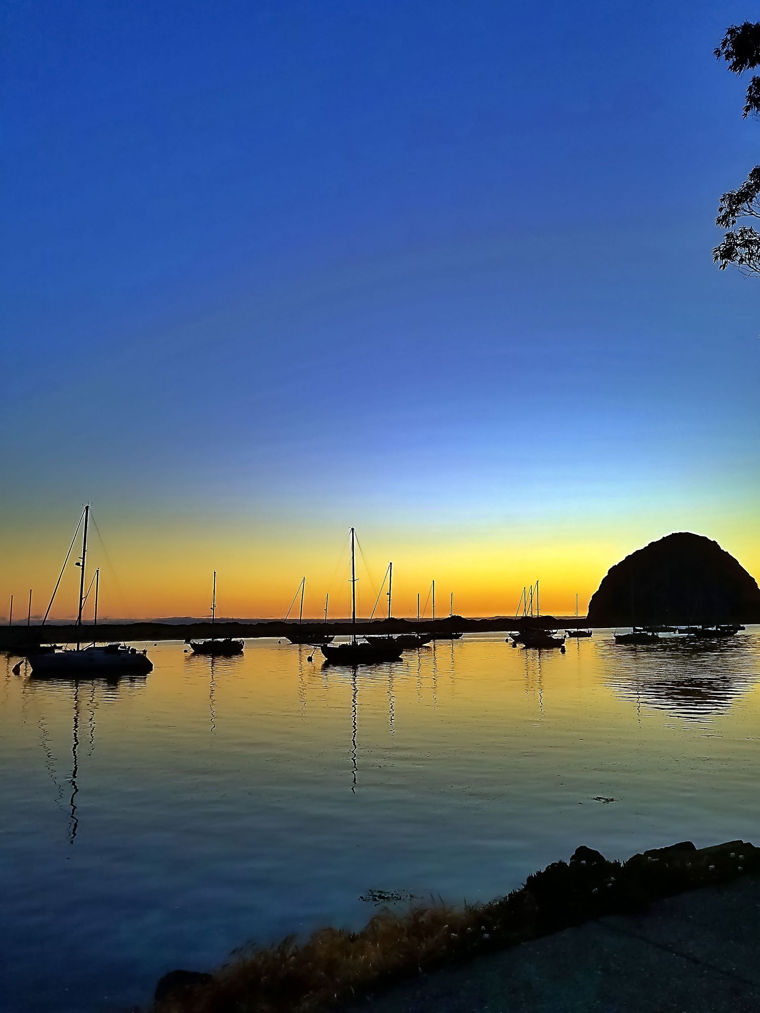 Sailboats anchored in calm harbor waters at sunset with Morro Rock silhouette in background.