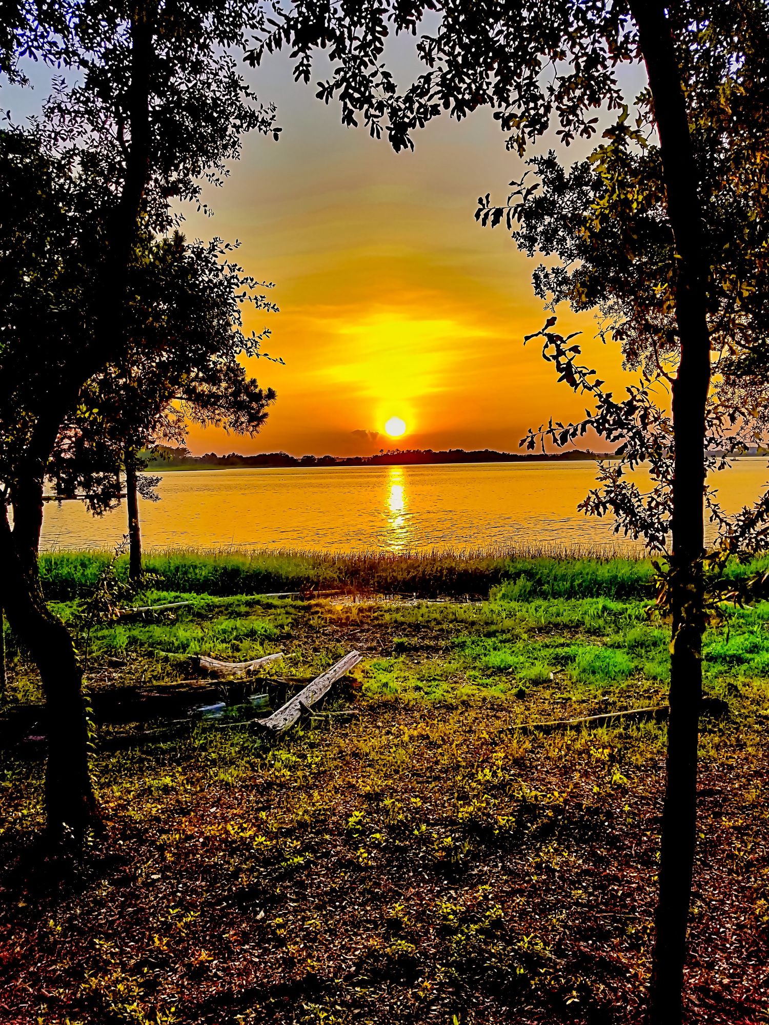 Golden sunset over water viewed through frame of tree silhouettes with bench in foreground.