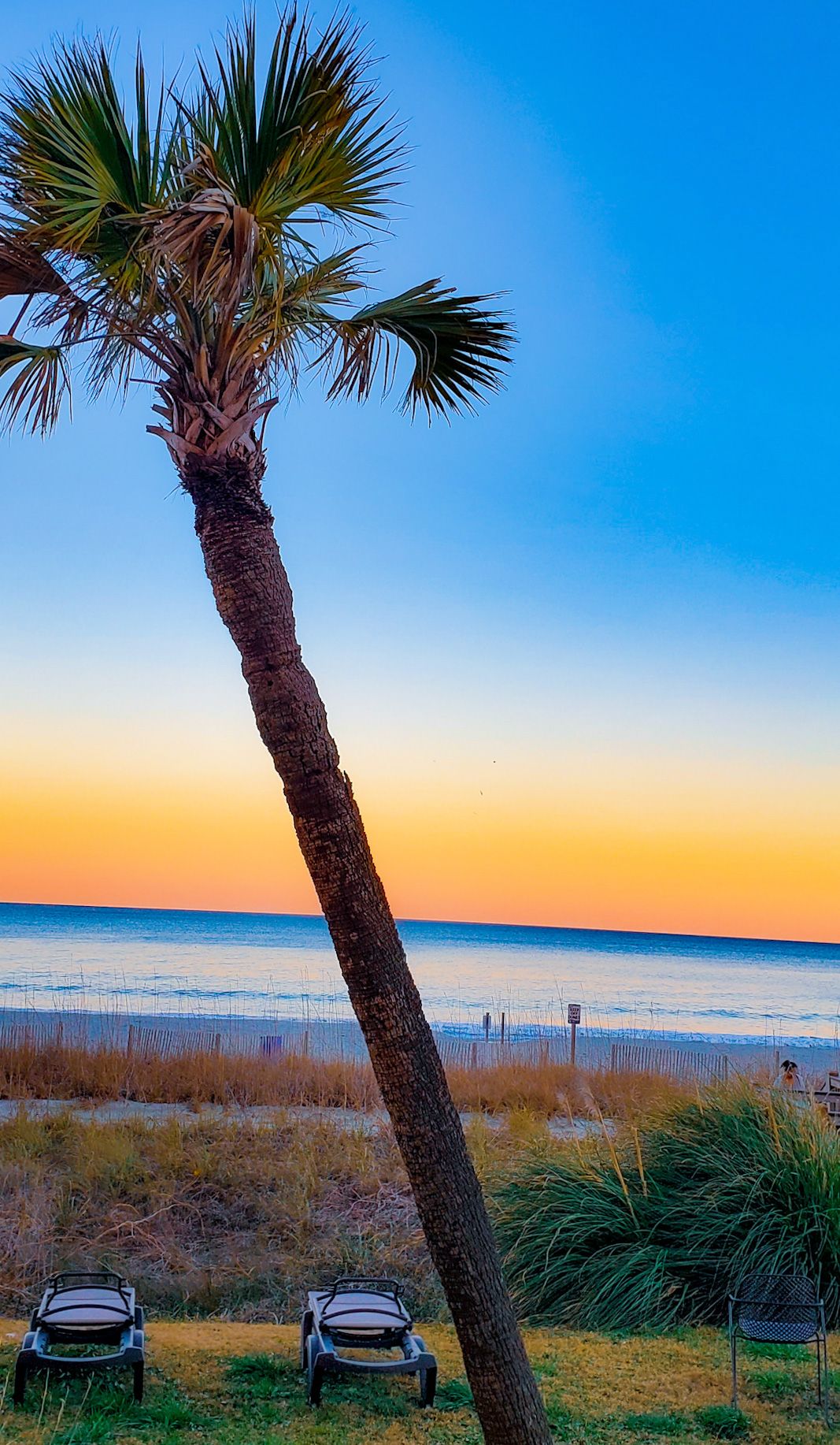 Leaning palm tree silhouetted against colorful sunset sky with beach chairs below.