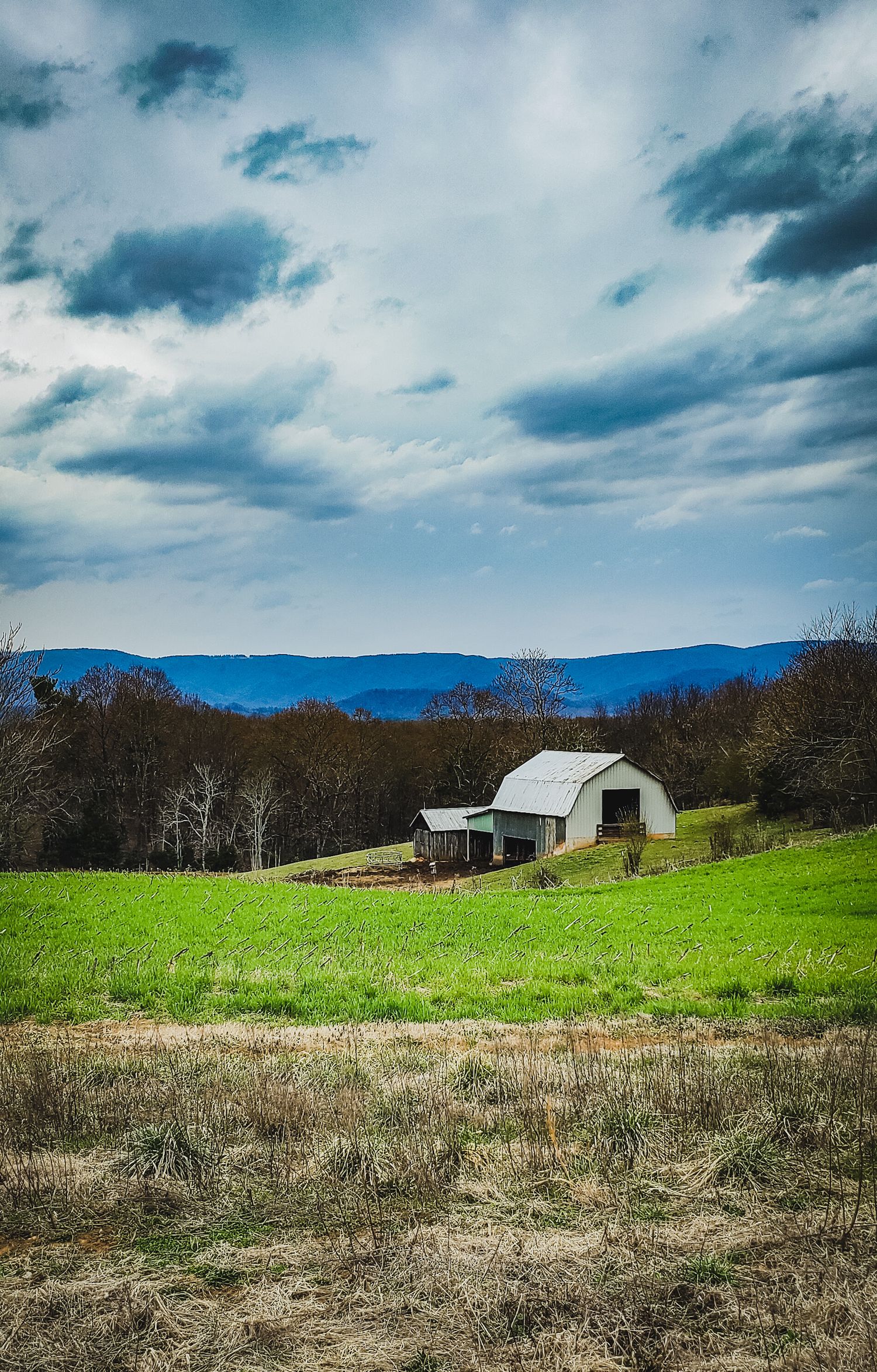 Rural barn with arched metal roof nestled in green field with mountain vista.