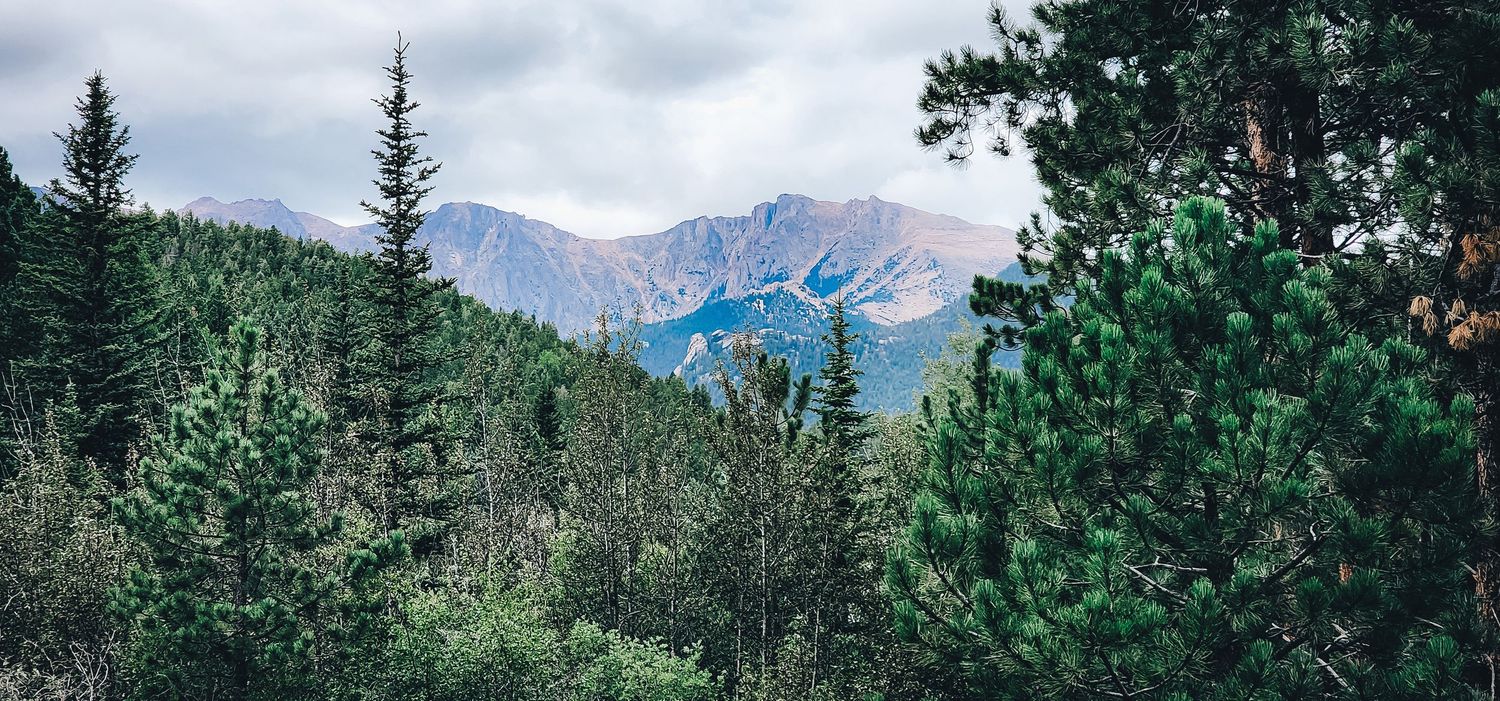 Majestic mountain peaks rise above evergreen forest with a bright blue sky in the background.