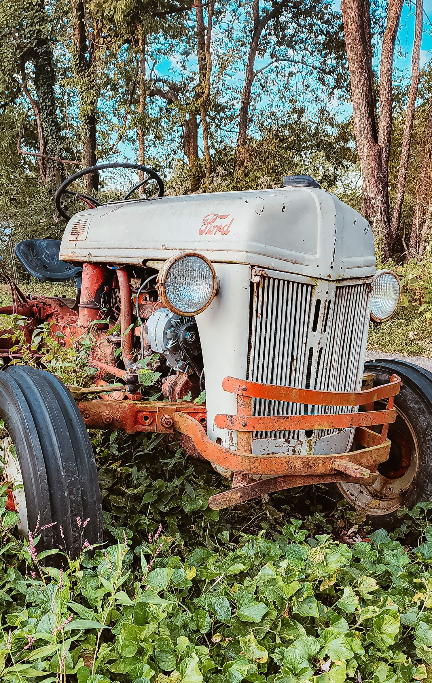 Vintage Ford tractor overtaken by vegetation in wooded setting.