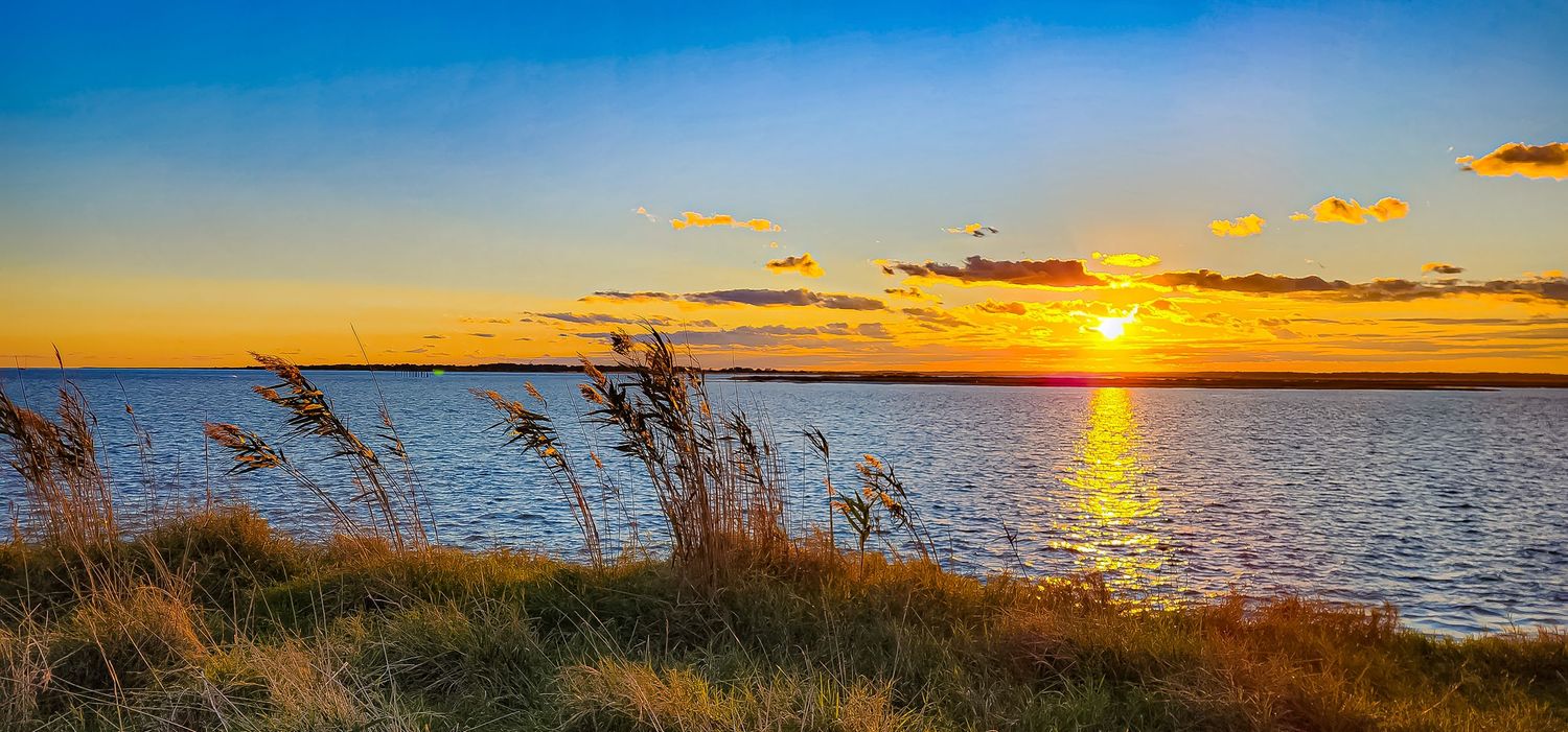 Dramatic orange sunset over calm water with silhouetted sea grass in the foreground.