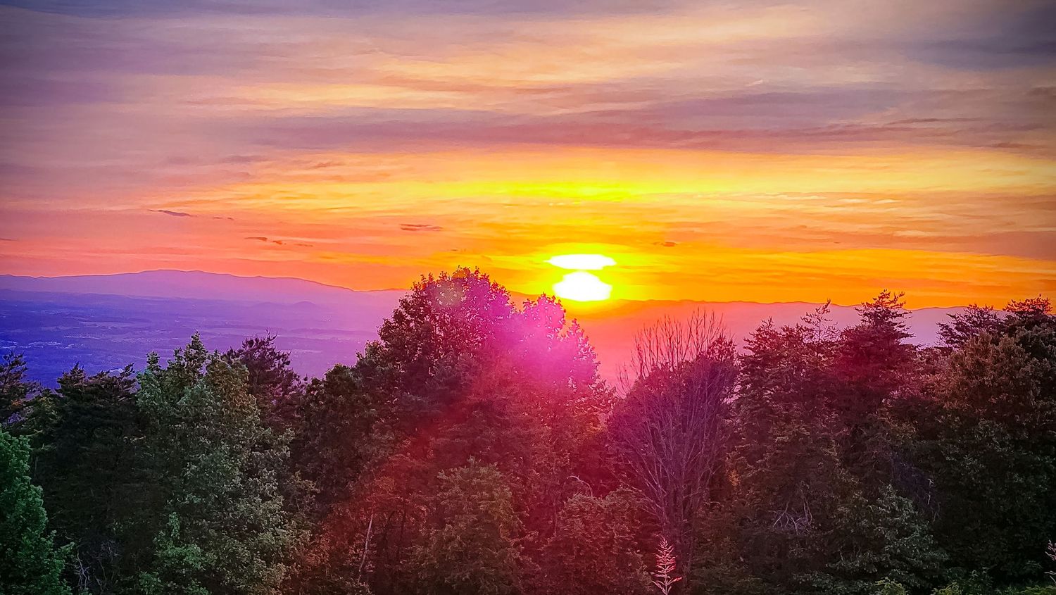 Vibrant orange sunset over silhouetted forest trees creating a dramatic colorful skyscape.