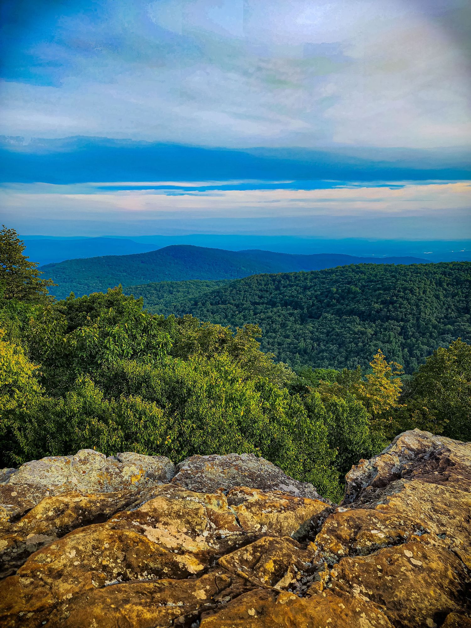 Rocky mountain overlook providing panoramic views of blue-tinted forested ridges.