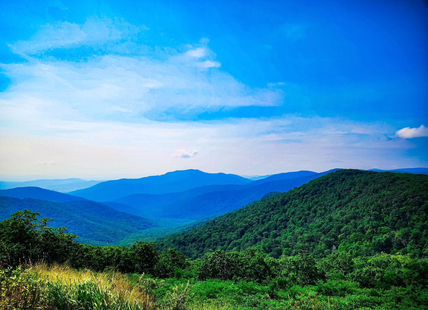Rolling green mountains stretch into the distance under a bright blue sky in the Appalachian range.