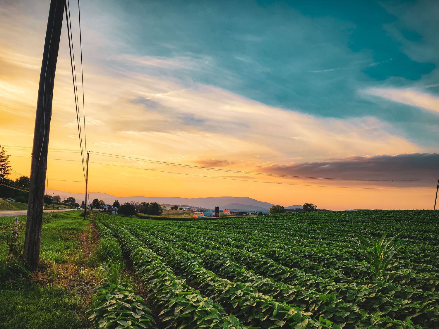 Rolling farm fields stretch toward sunset with utility poles silhouetted against orange sky.