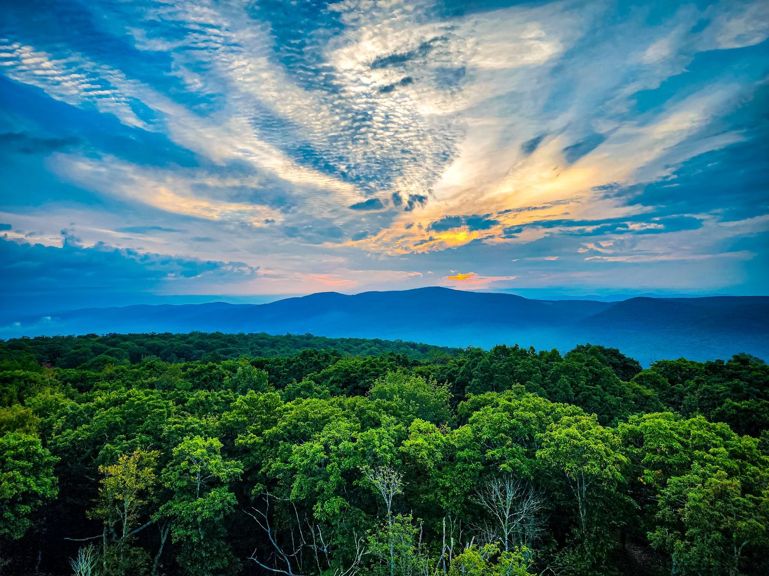 Dramatic sunset sky with wispy clouds over mountain ridges and dense forest canopy.