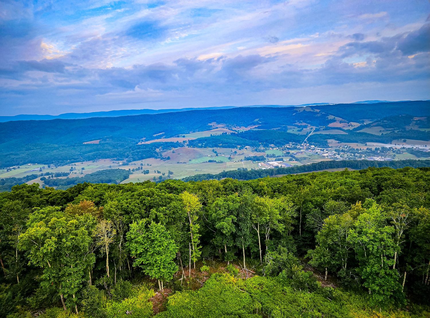 Aerial view of lush green forest canopy with rolling mountains and valleys extending to the horizon.