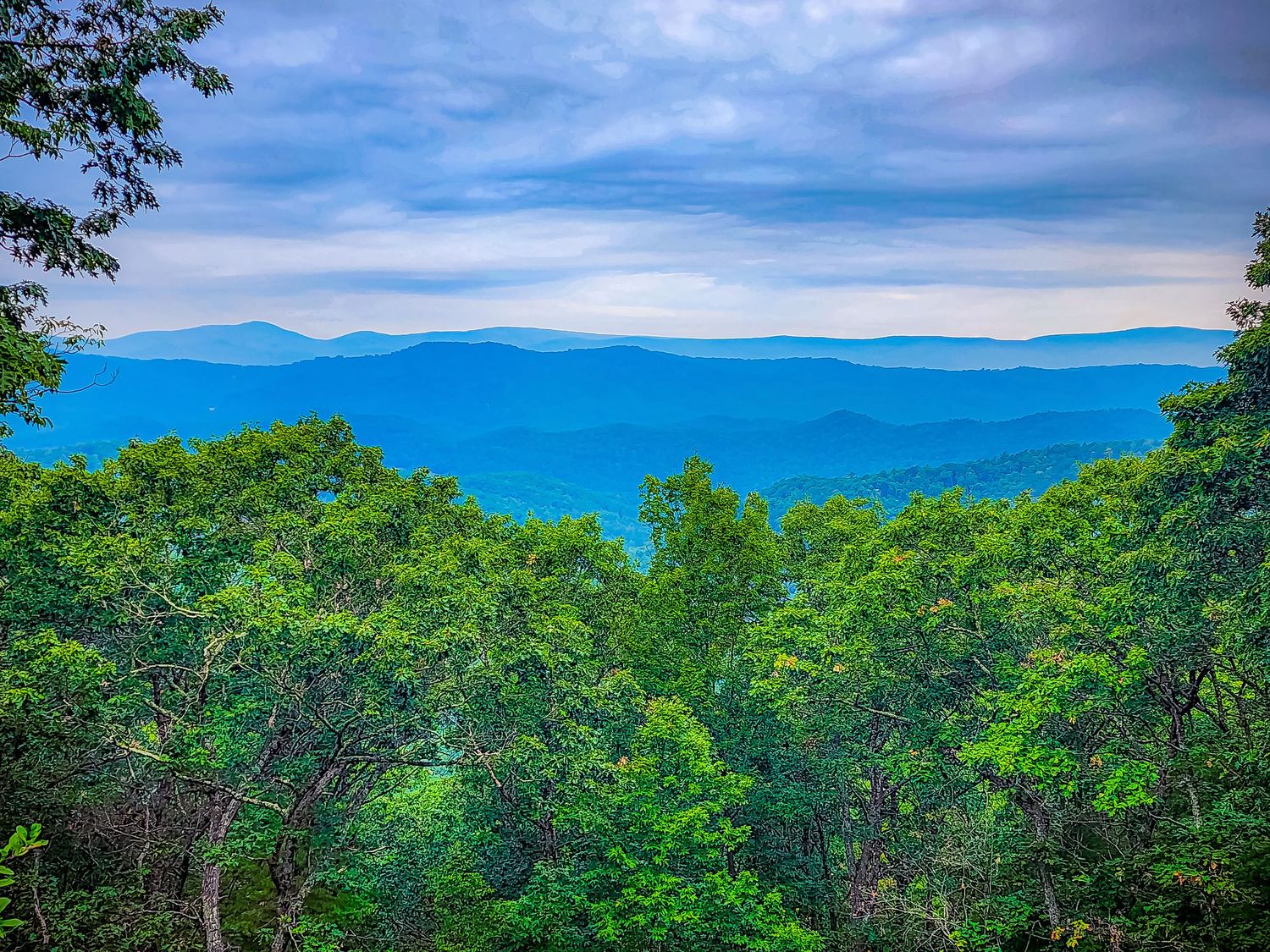 Layers of blue mountain ridges fade into the distance behind dense summer forest canopy.