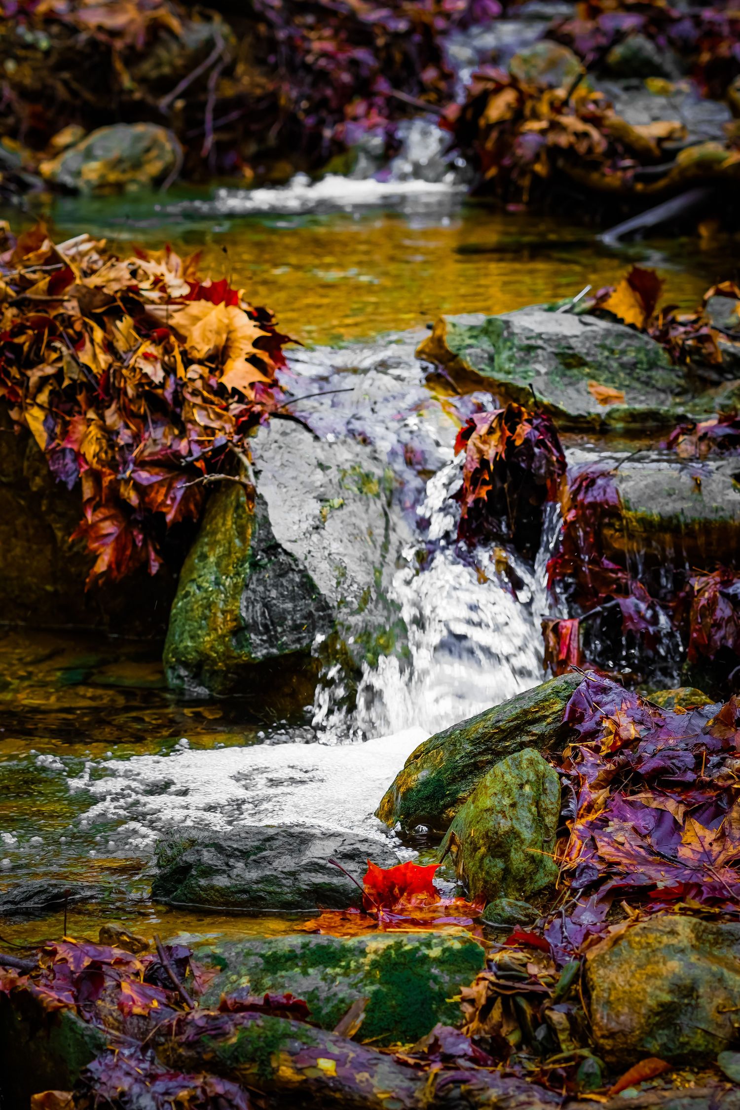 Autumn leaves surrounding small waterfall cascading over mossy rocks in stream.