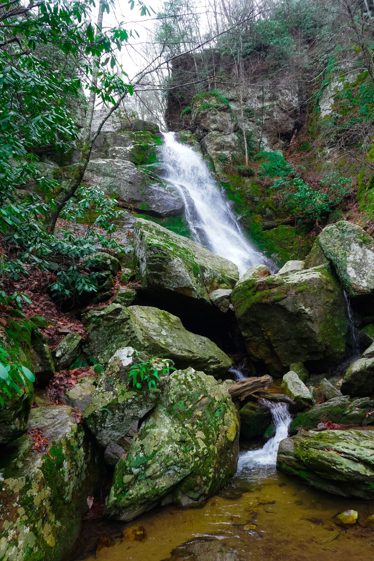 Cascading waterfall flowing over moss-covered rocks in lush green forest setting.