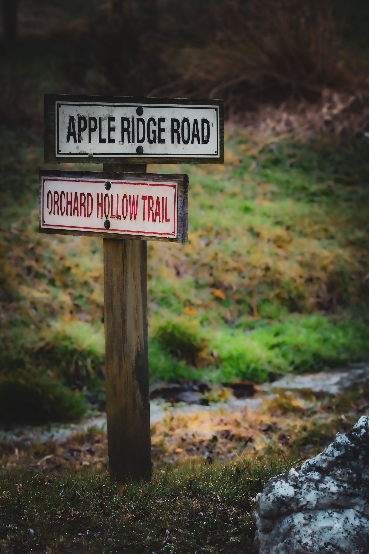 Rustic wooden signpost marking Apple Ridge Road and Orchard Hollow Trail in a misty forest setting.