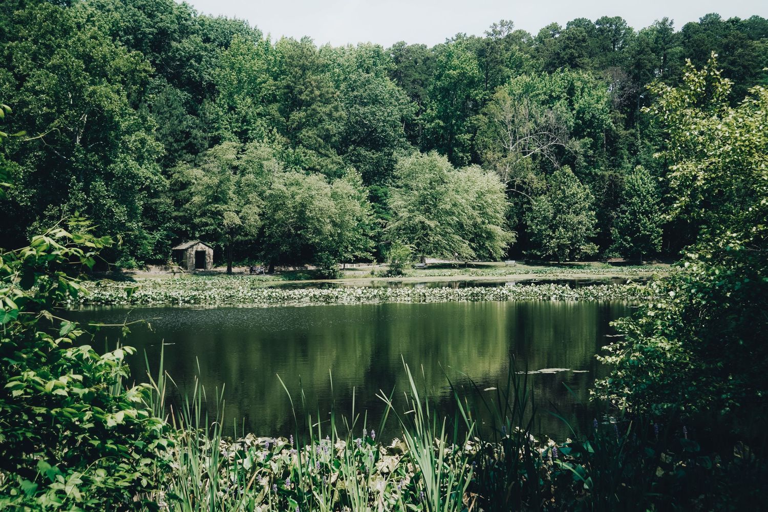 Peaceful lake view with small structures nestled among dense forest vegetation.