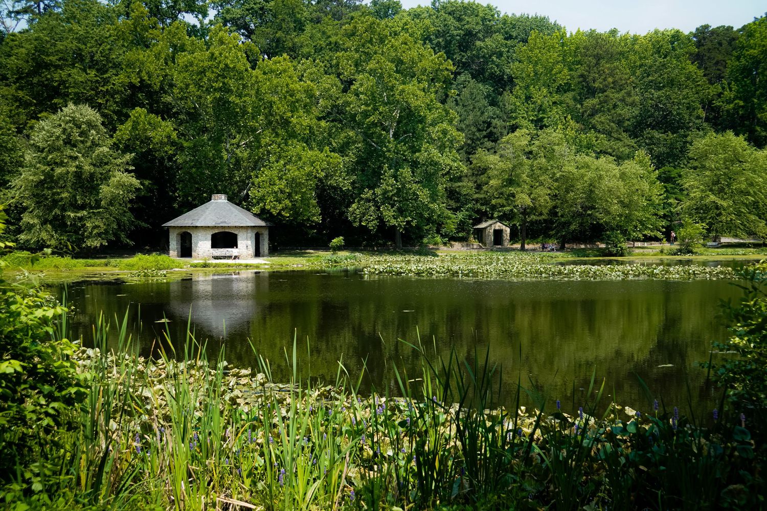 Serene pond surrounded by trees with a white gazebo reflecting on the calm water.