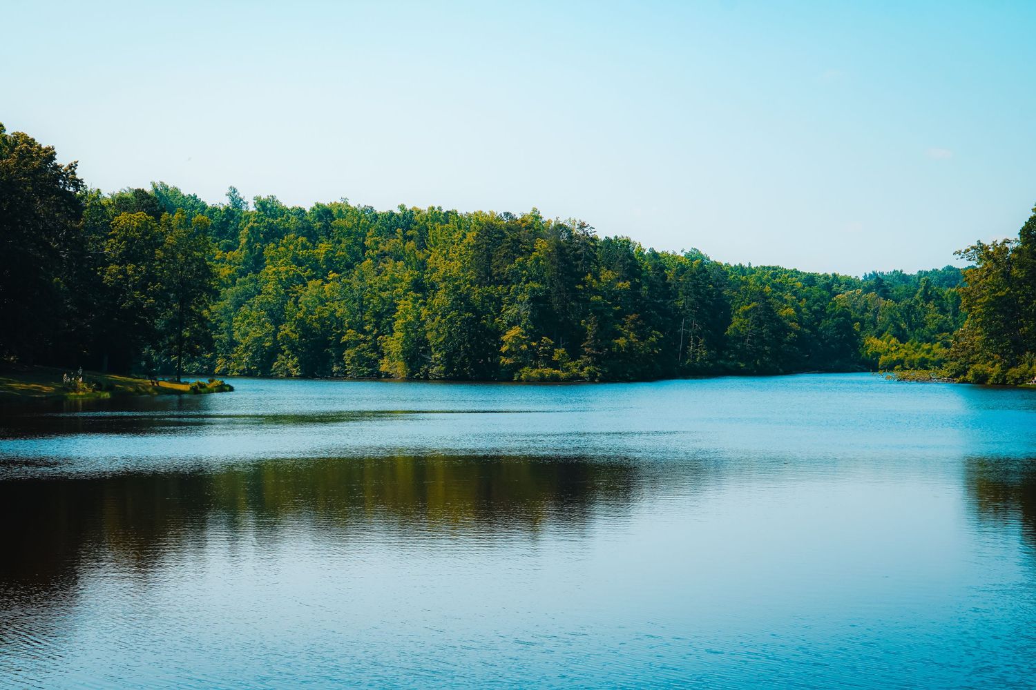 Calm lake surrounded by dense green forest on a clear summer day.