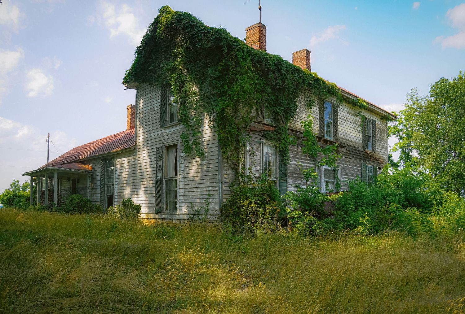 Overgrown abandoned house covered in climbing vines with rustic white siding and red roof.