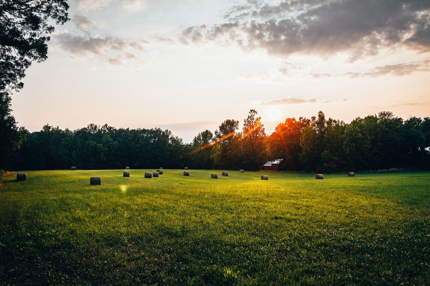 Golden sunset over a green pasture with scattered hay bales and trees silhouetted in the distance.