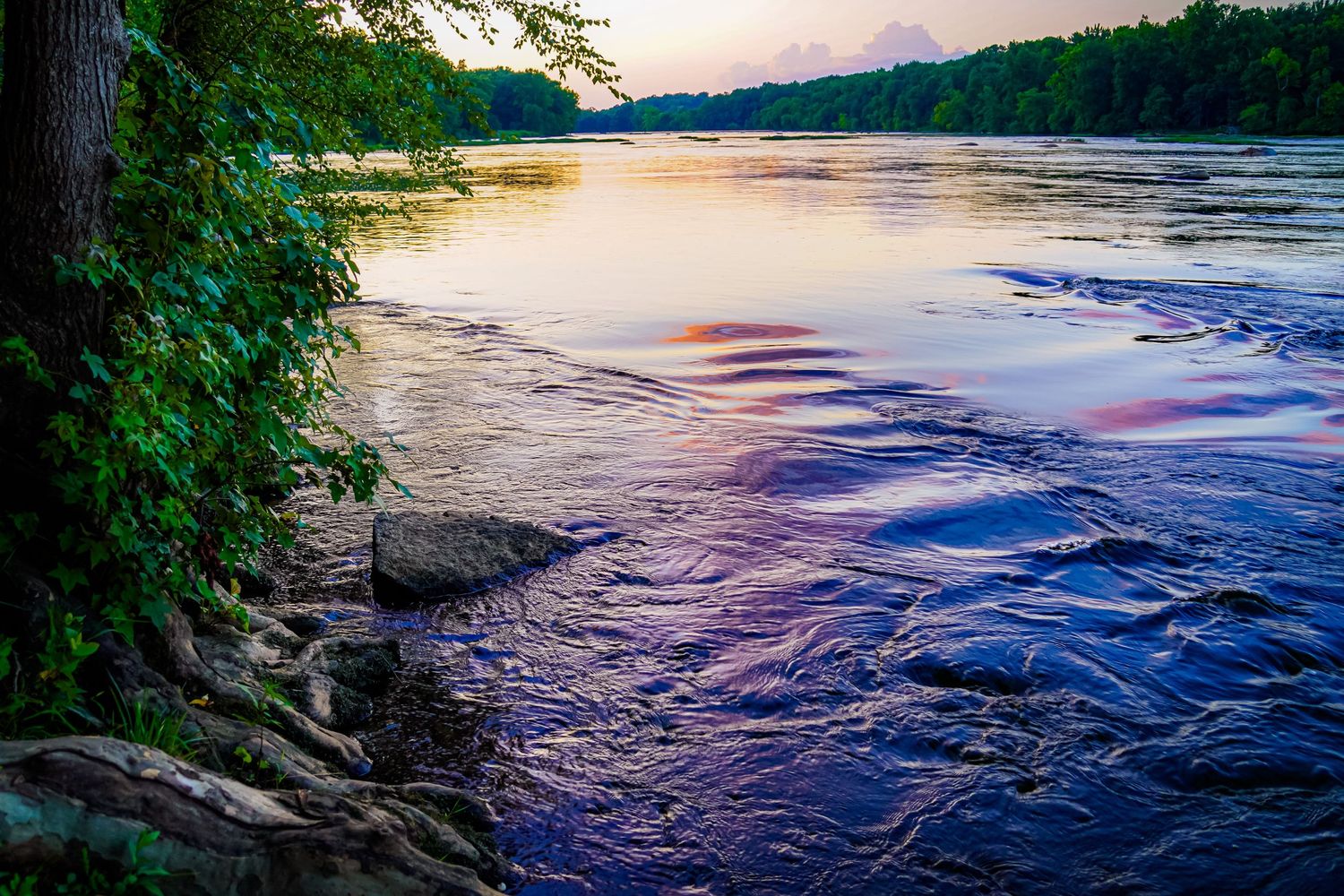 Riverside view at dusk with purple-tinted waters and rocky shoreline.