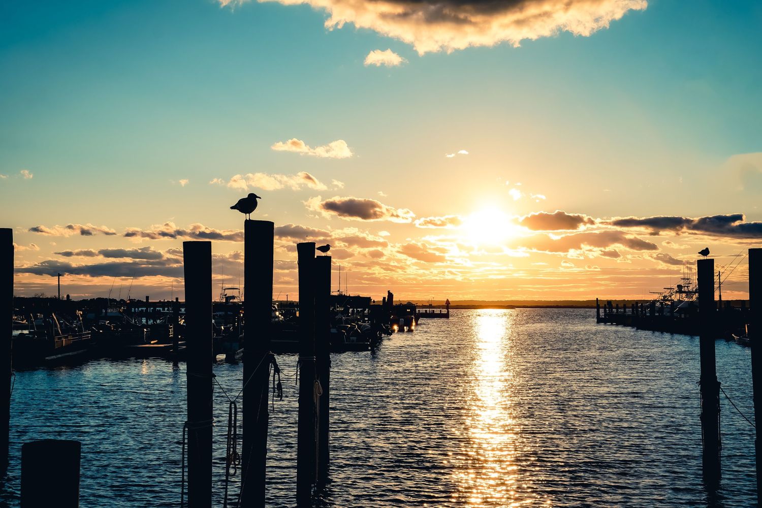 Sunset silhouettes dock pilings at marina as golden light reflects on calm harbor waters.