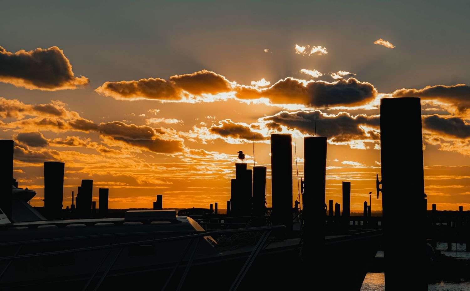 Dramatic orange sunset behind silhouetted pier posts creates striking harbor skyline.