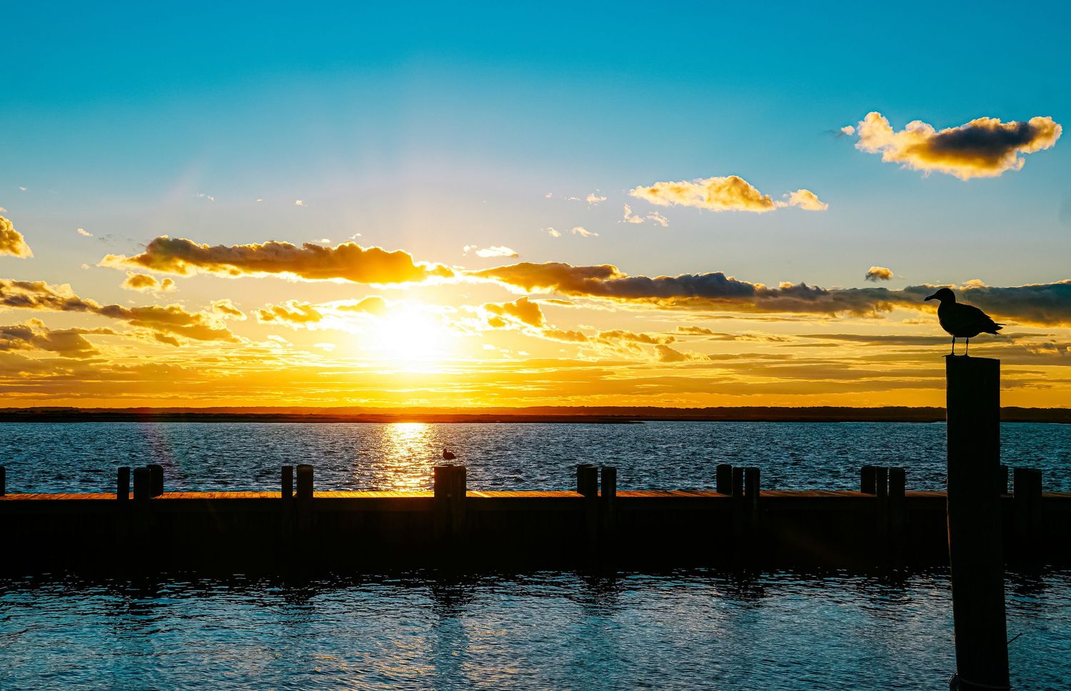 Seabird perched on pier post silhouetted against vibrant ocean sunset.