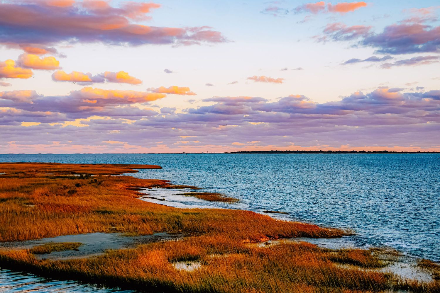 Autumn marshland meets blue water under pink sunset clouds at coastal wetland.