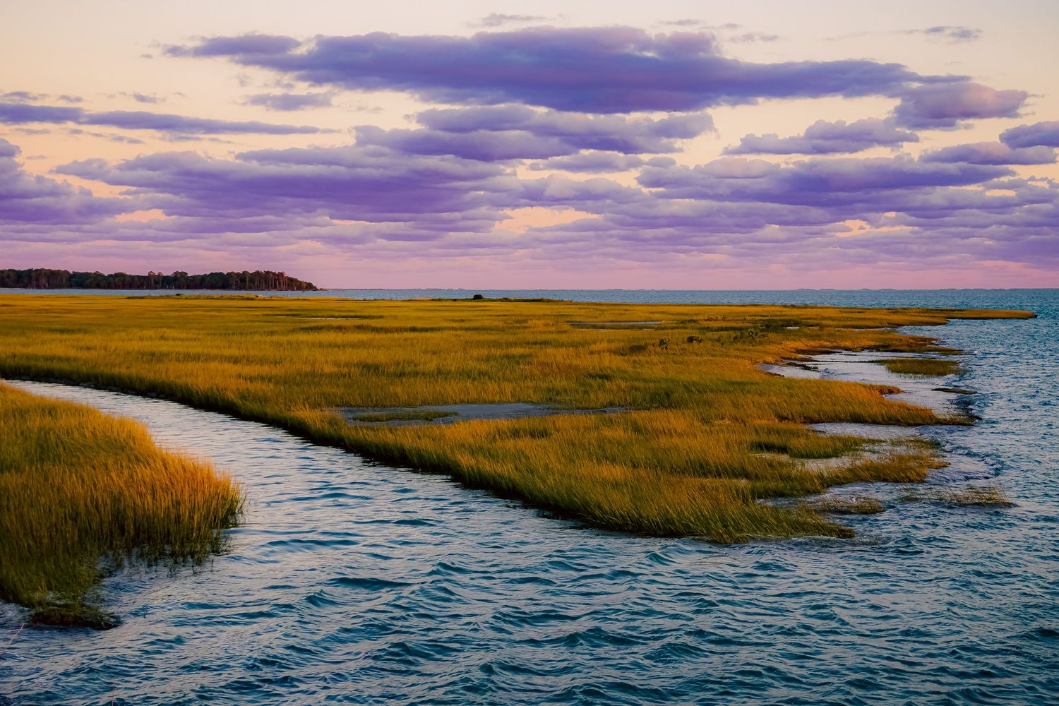 Coastal marshland with golden grass and winding waterways under a dramatic purple sunset sky.