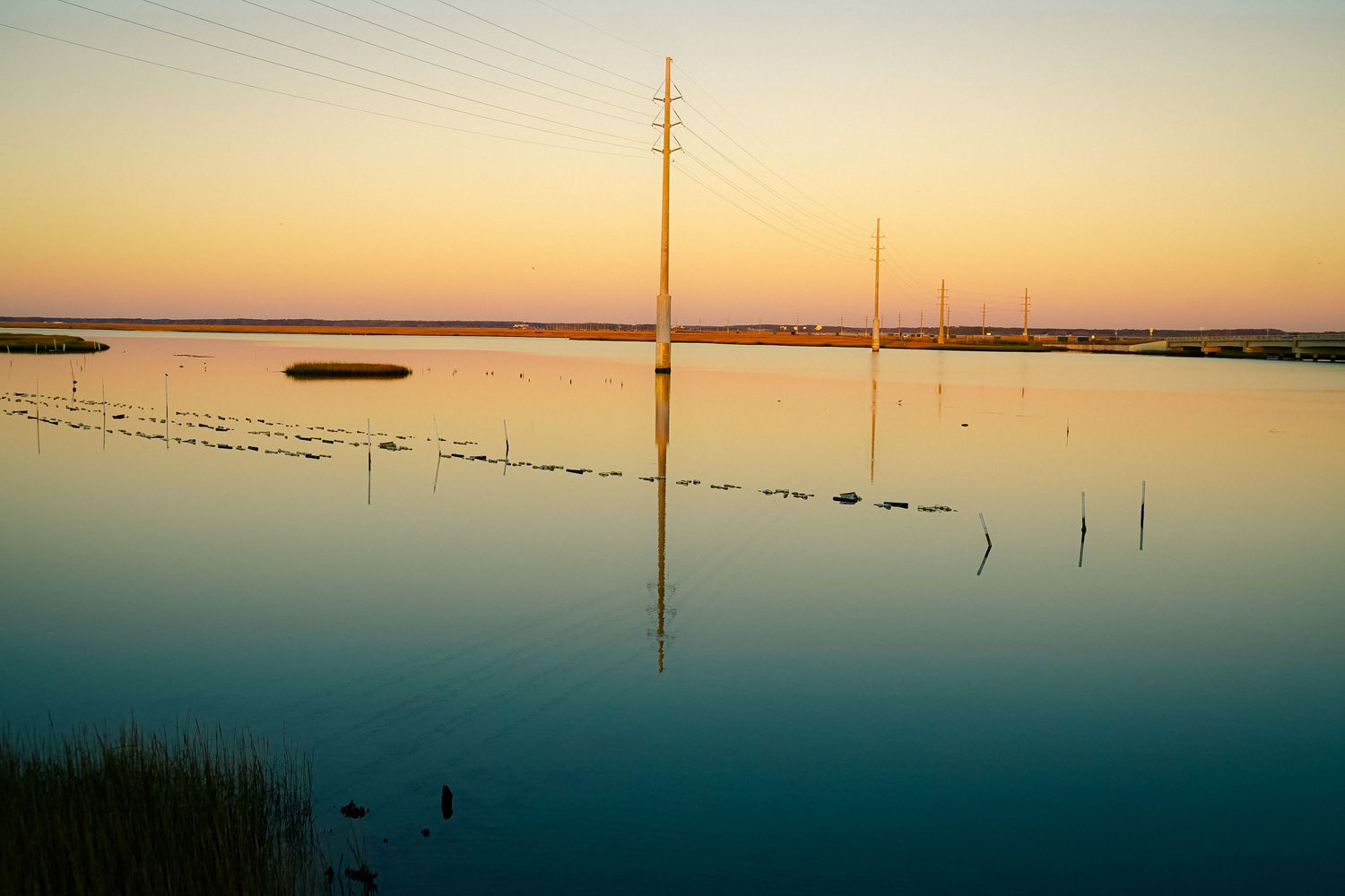 Utility poles reflecting in still waters during a pastel sunrise over the wetlands.