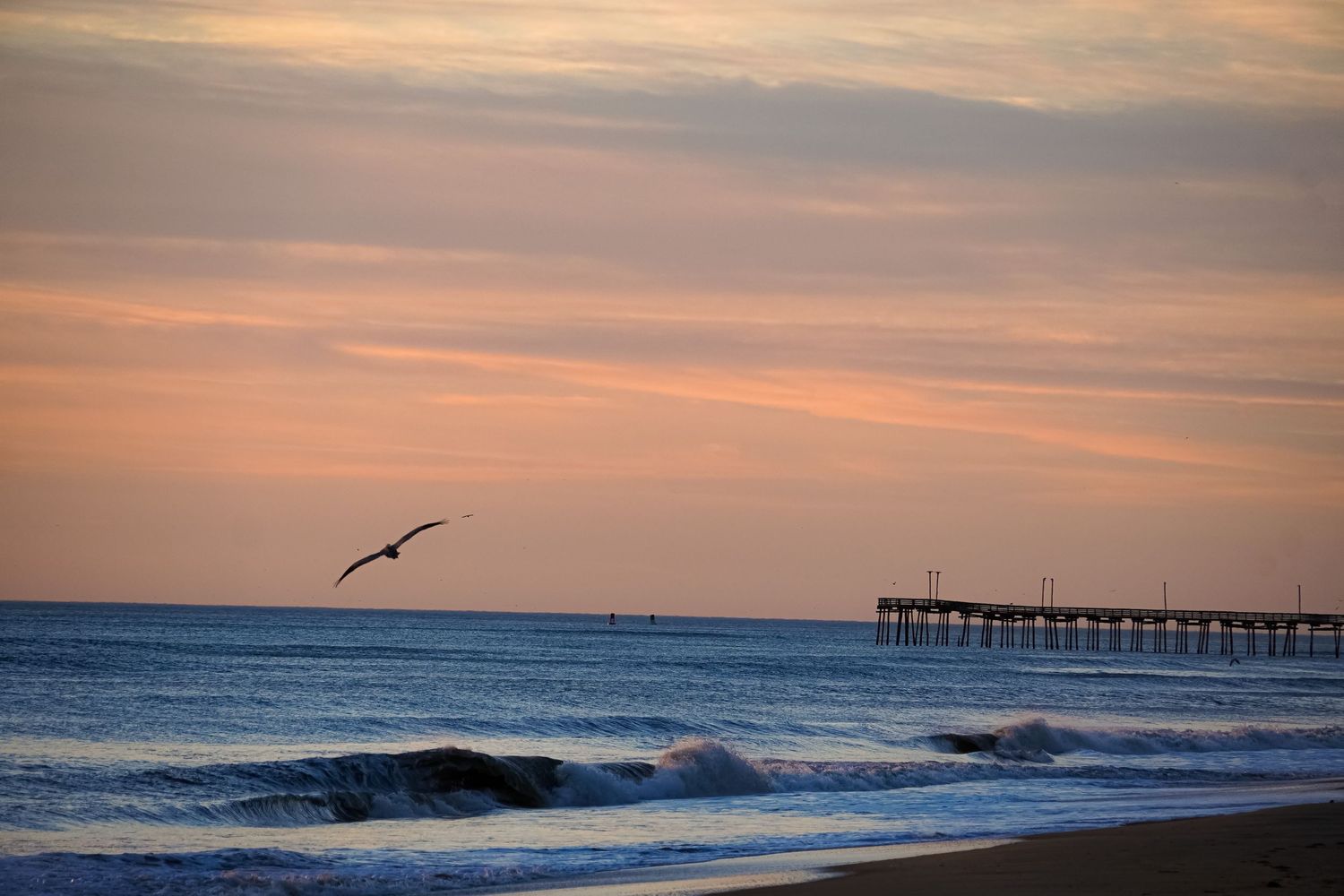 Seabird soars past a pier at sunset with rolling waves beneath an orange sky.