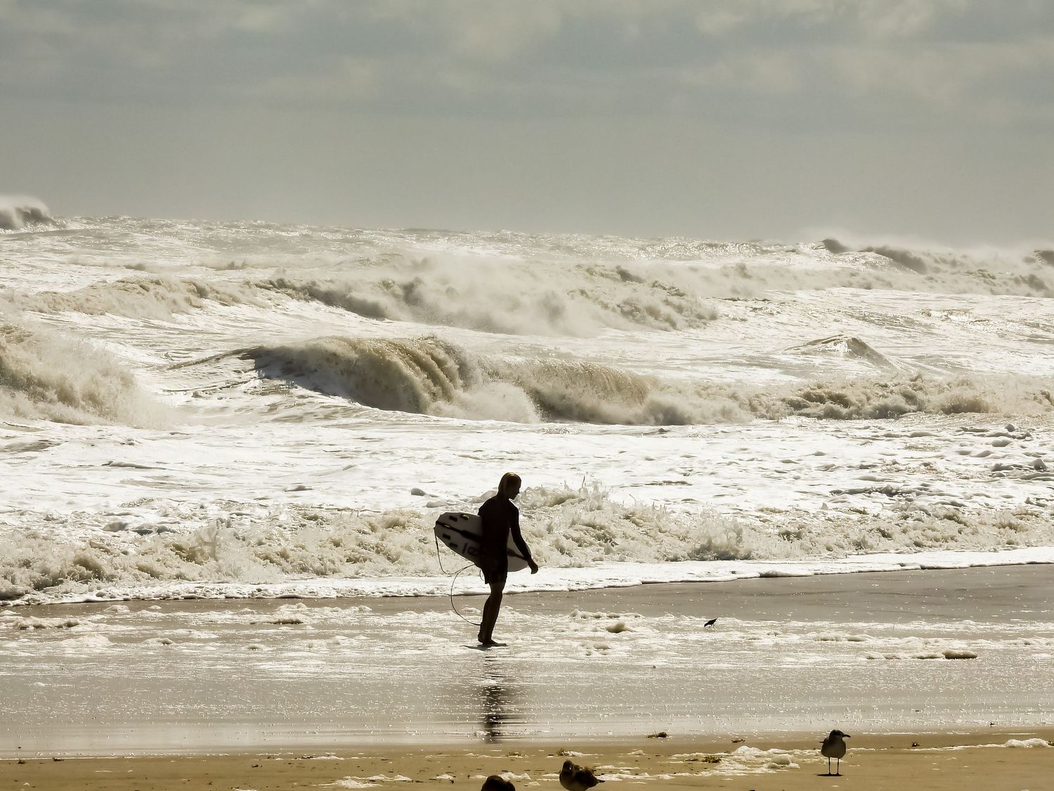 Silhouette of a surfer walking along stormy beach with massive waves crashing in the background.