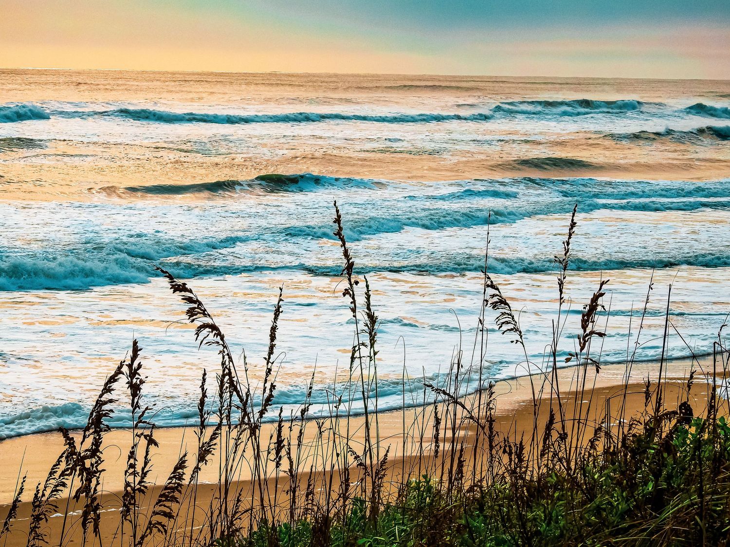 Sea oats sway in foreground of sunset beach scene with rolling waves and pastel sky.