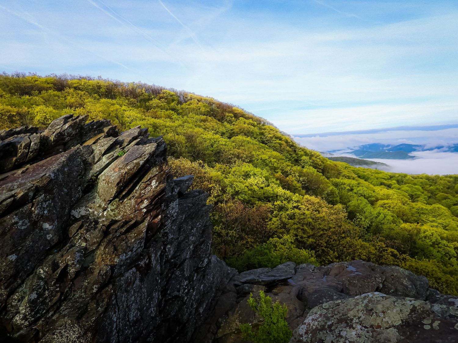 Dramatic rocky outcrop overlooking a valley with yellow wildflowers blooming on the hilltop.