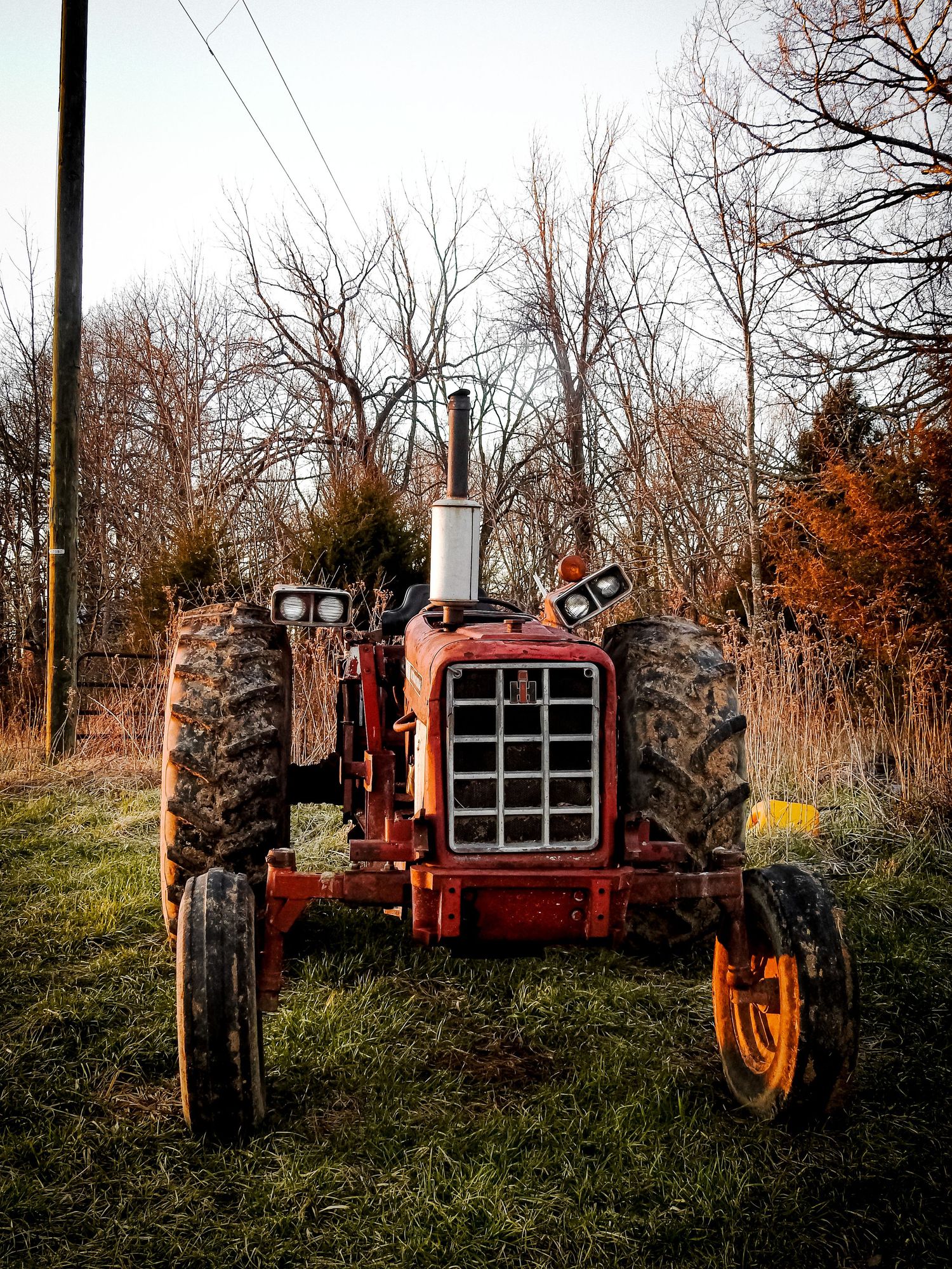 Vintage red farm tractor surrounded by autumn trees and tall grass.