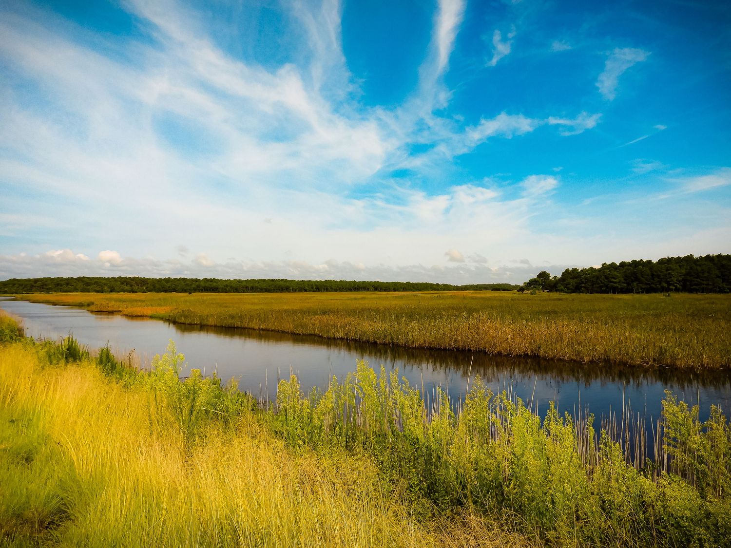 Scenic marshland with golden grass and winding river under dramatic blue sky.