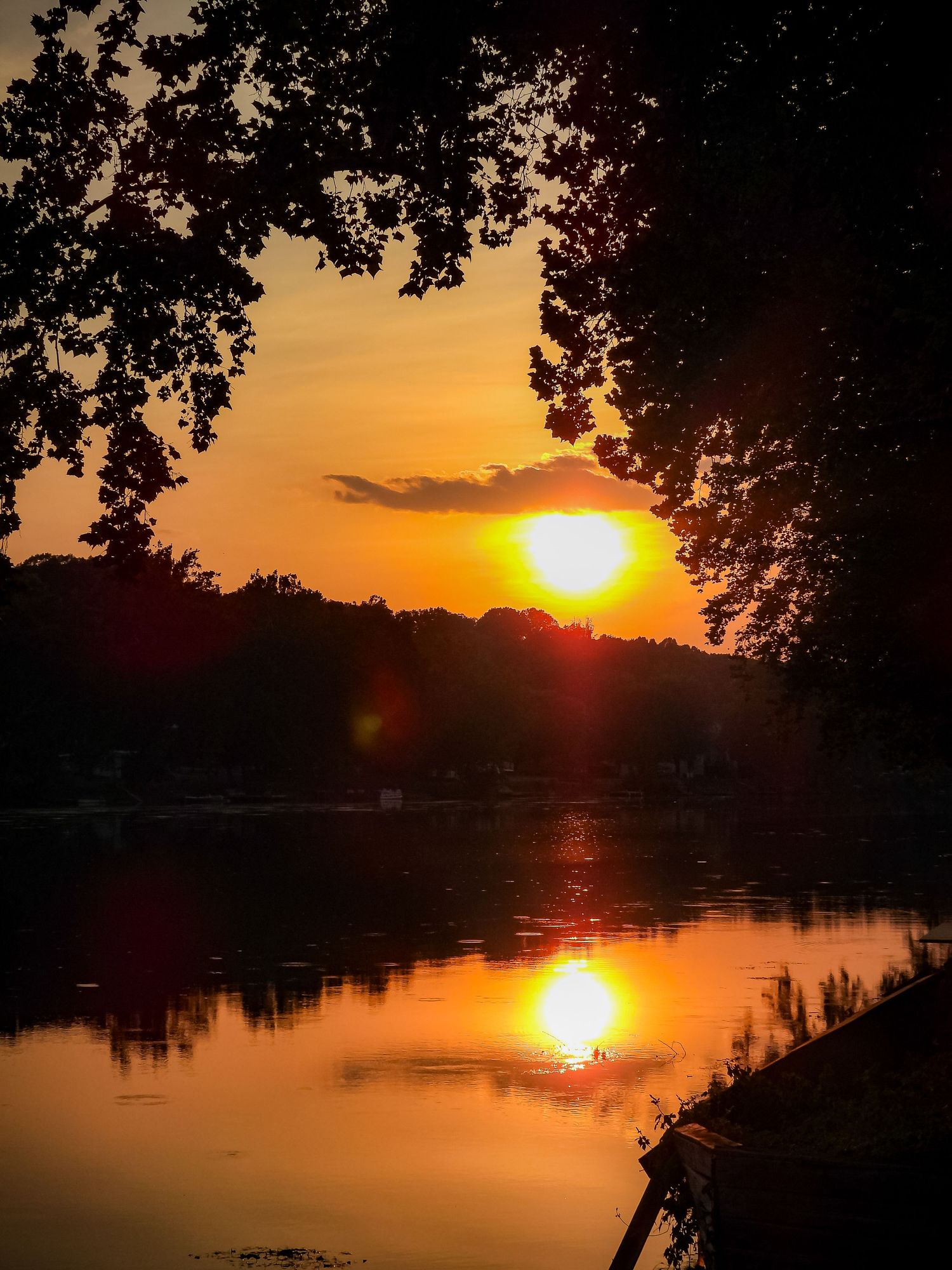Stunning orange sunset over a lake with silhouetted trees framing the reflection.
