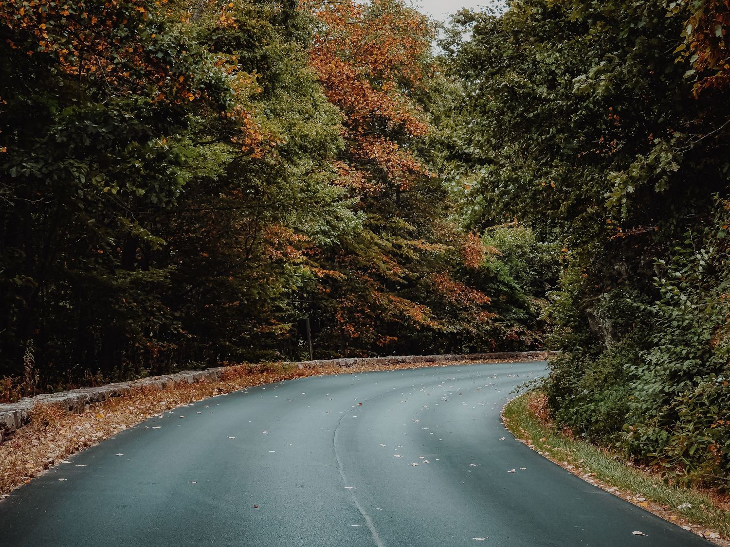 Winding mountain road curves through vibrant autumn forest with fallen leaves along the shoulder.