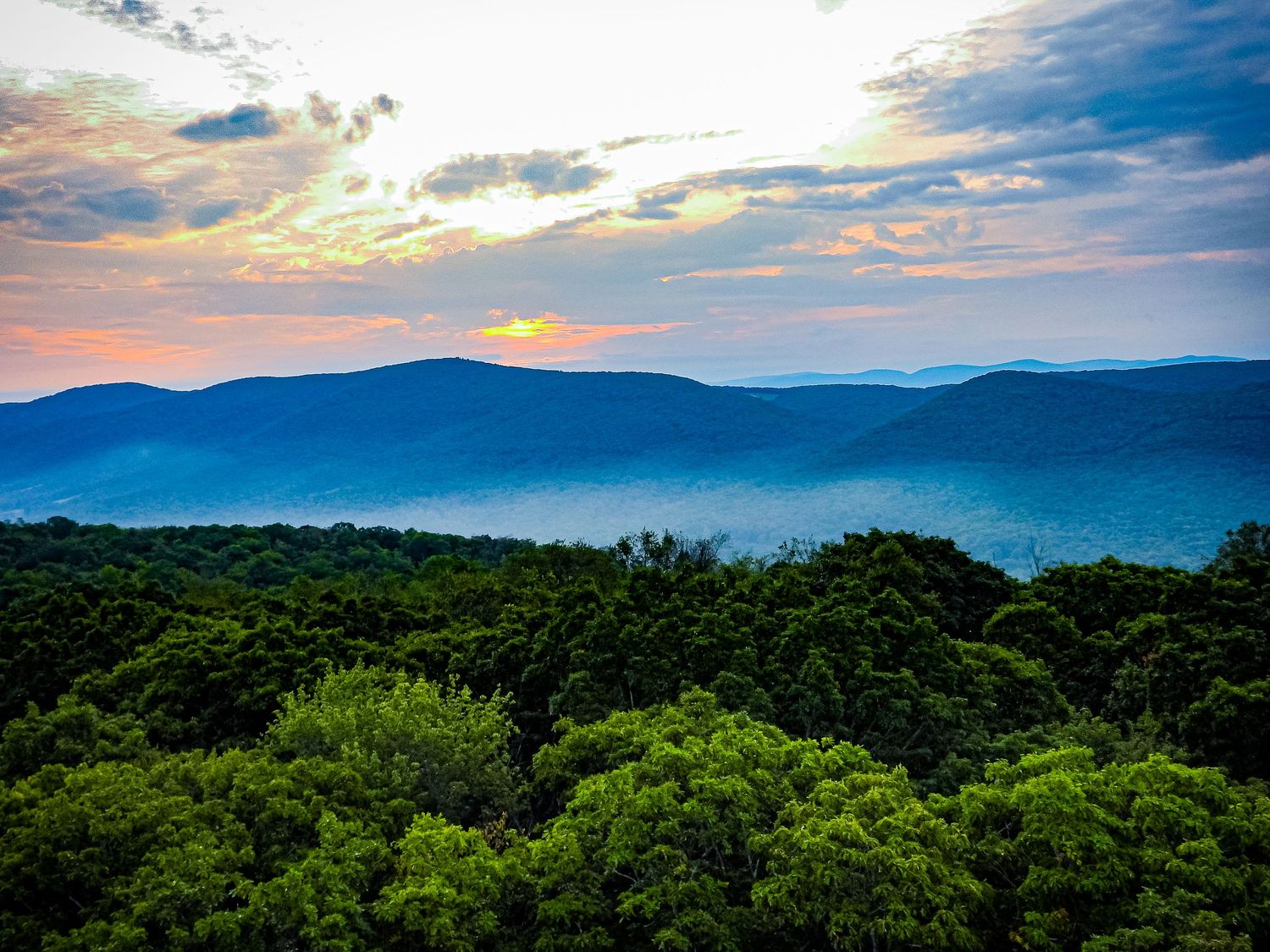 Stunning sunset over misty mountain ranges with lush green forest canopy in the foreground.
