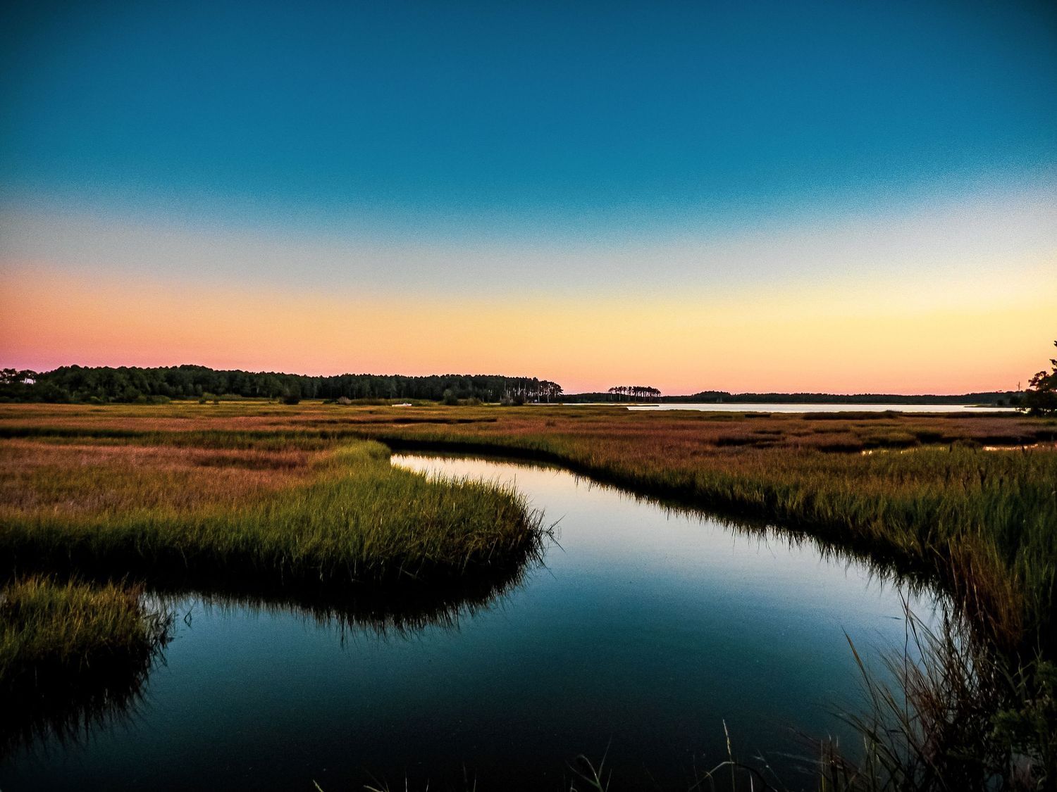 Winding marsh creek reflects sunset colors through coastal wetlands at twilight.