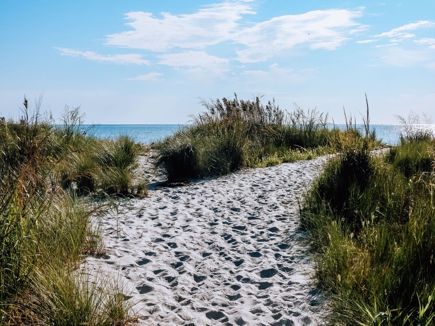 Sandy beach path lined with dune grass leads toward the ocean on a bright summer day.