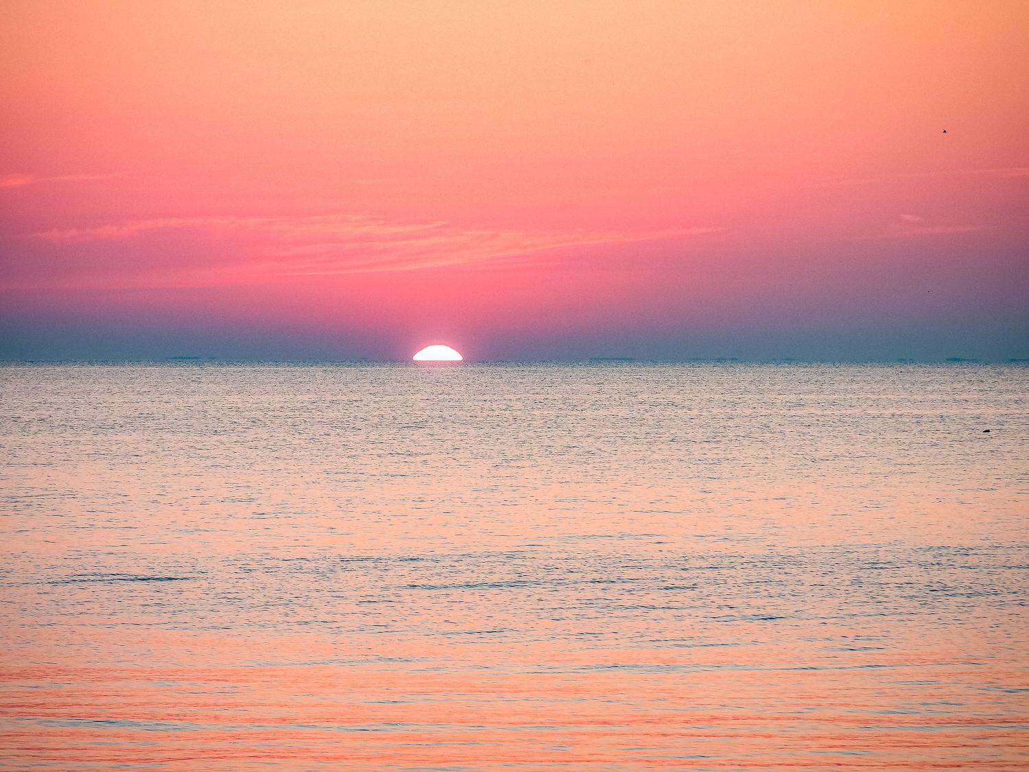 Rising sun creates pink and coral colors over calm ocean waters during dawn.