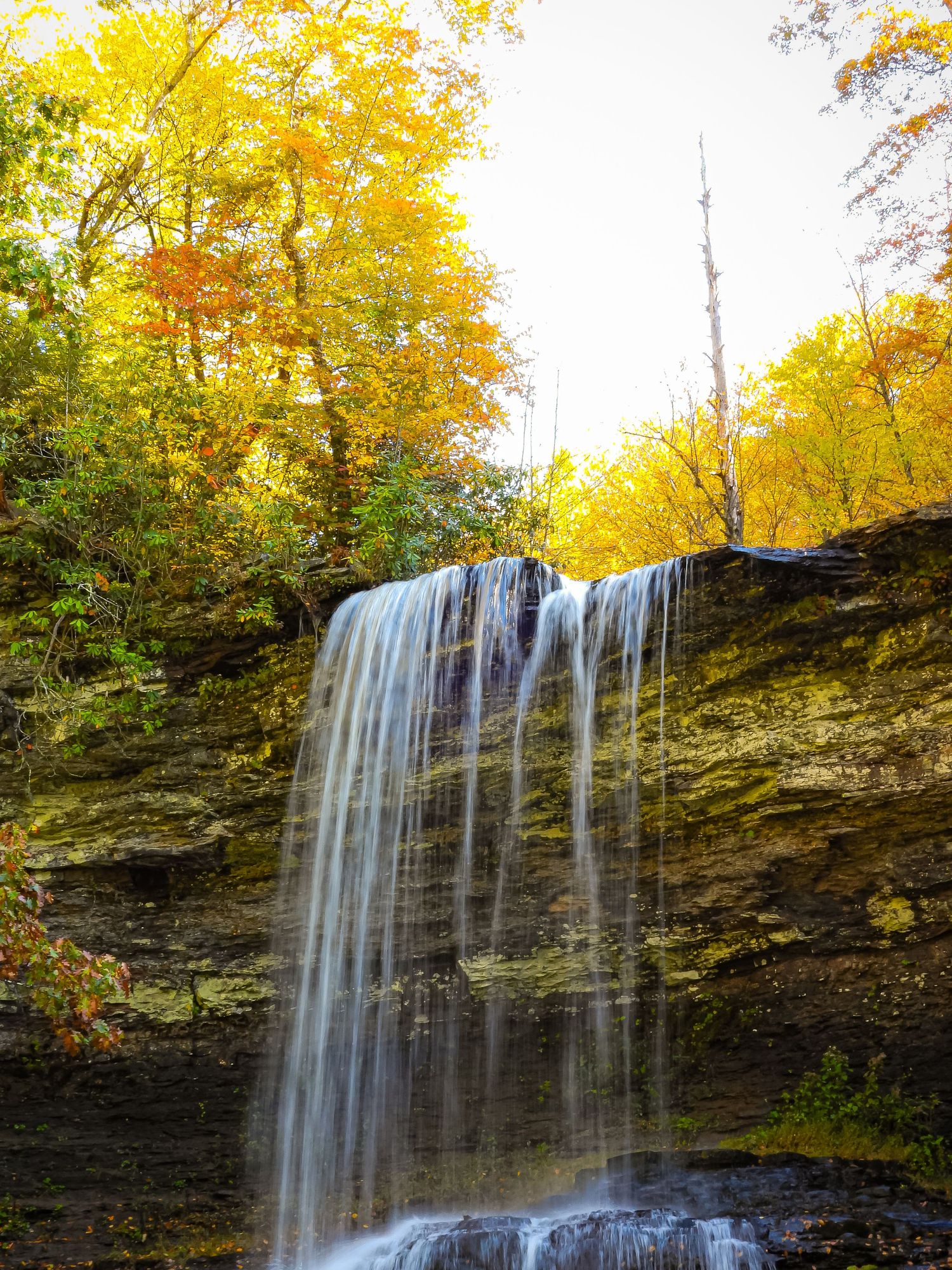 Scenic waterfall drops over limestone cliff face framed by golden fall trees.