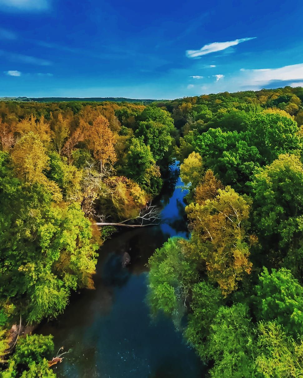 Aerial view of a meandering river cutting through vibrant fall forest under bright blue skies.