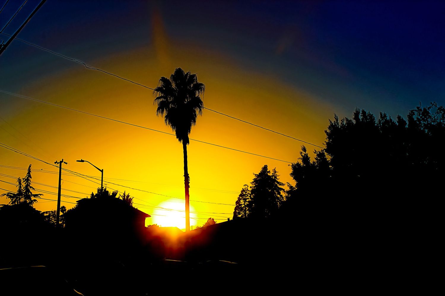 Palm tree silhouette against vibrant yellow sunset sky with power lines in urban setting.