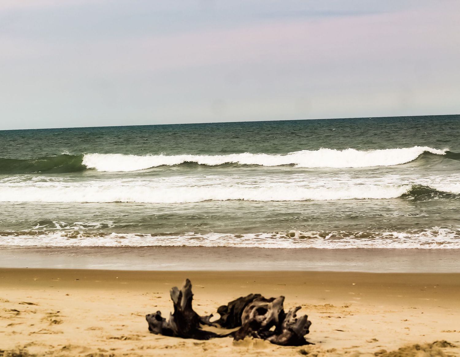 Driftwood rests on empty beach with rolling waves and overcast sky in background.